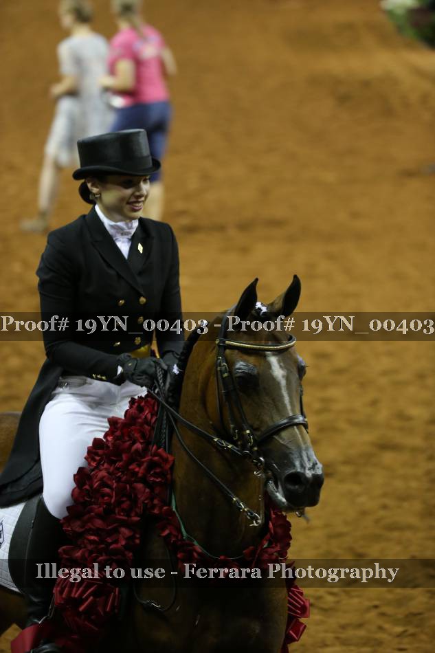 Proof 19YN_00403