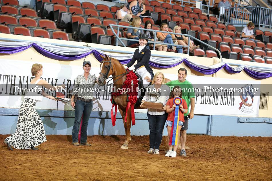 Proof 19YN_29029