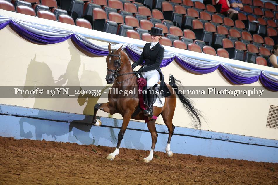 Proof 19YN_29053