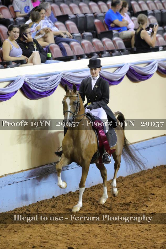 Proof 19YN_29057