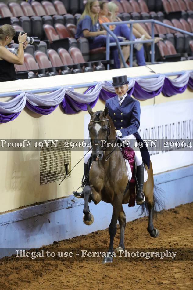 Proof 19YN_29064