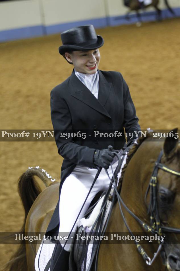 Proof 19YN_29065