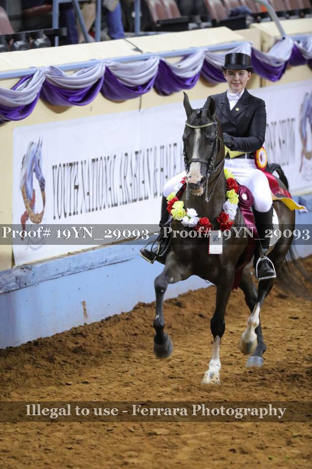 Proof 19YN_29093