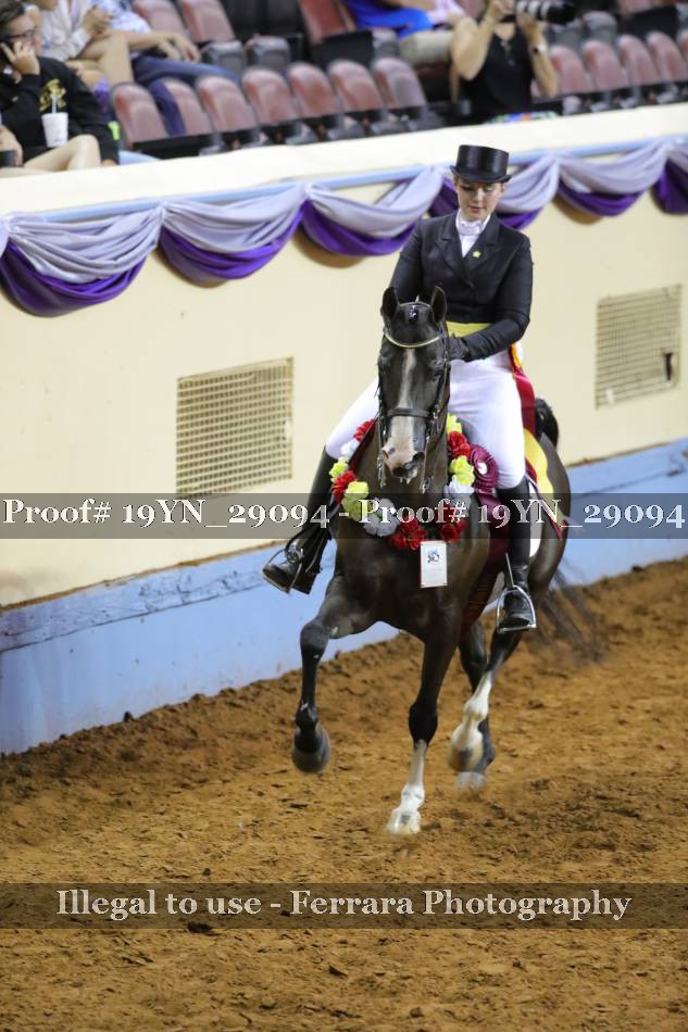 Proof 19YN_29094