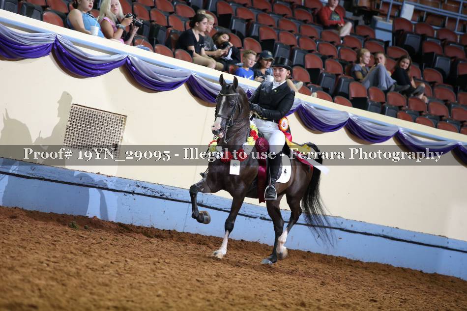 Proof 19YN_29095