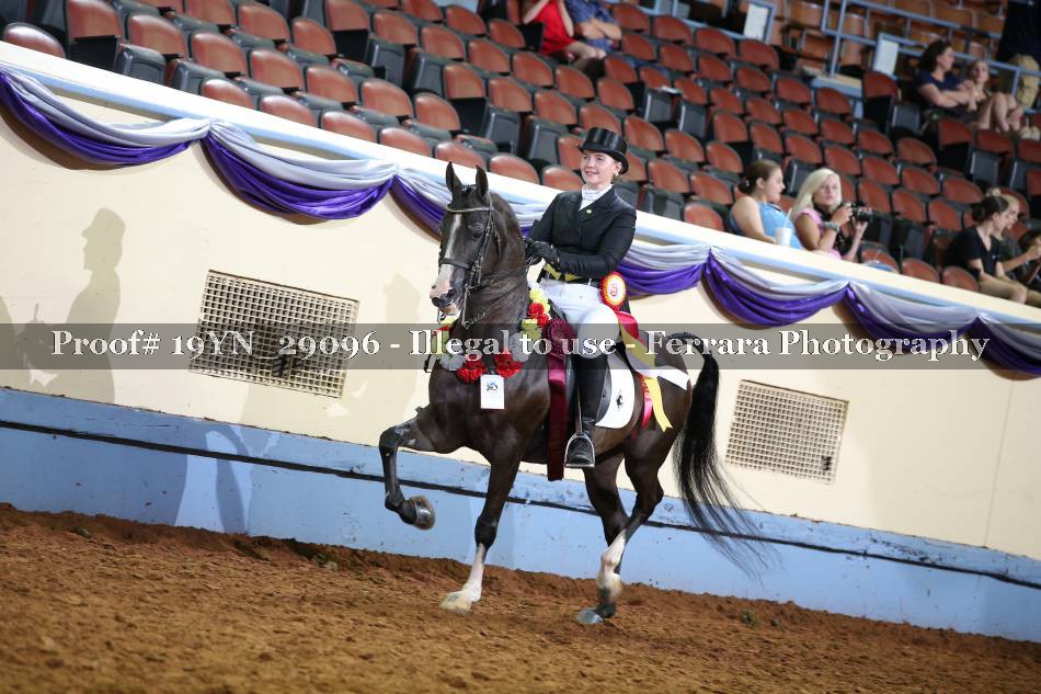 Proof 19YN_29096