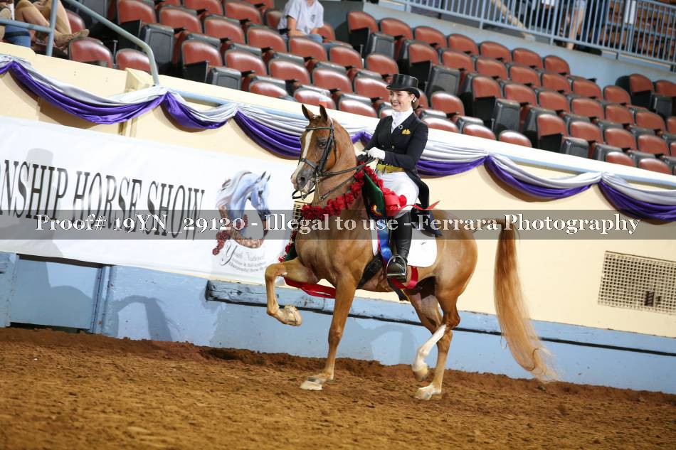 Proof 19YN_29120