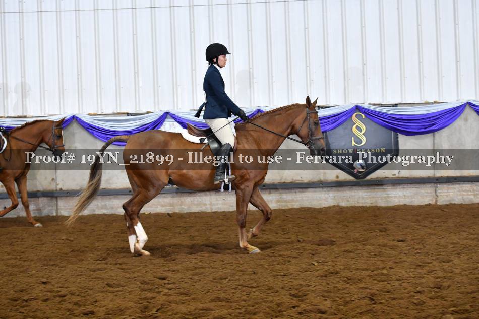 Proof 19YN_21899