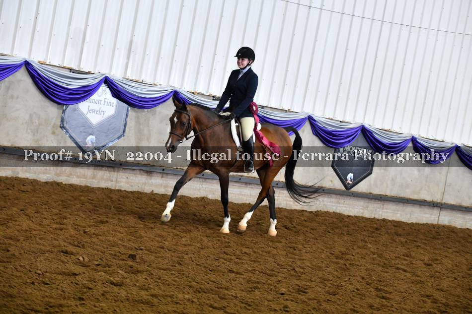 Proof 19YN_22004
