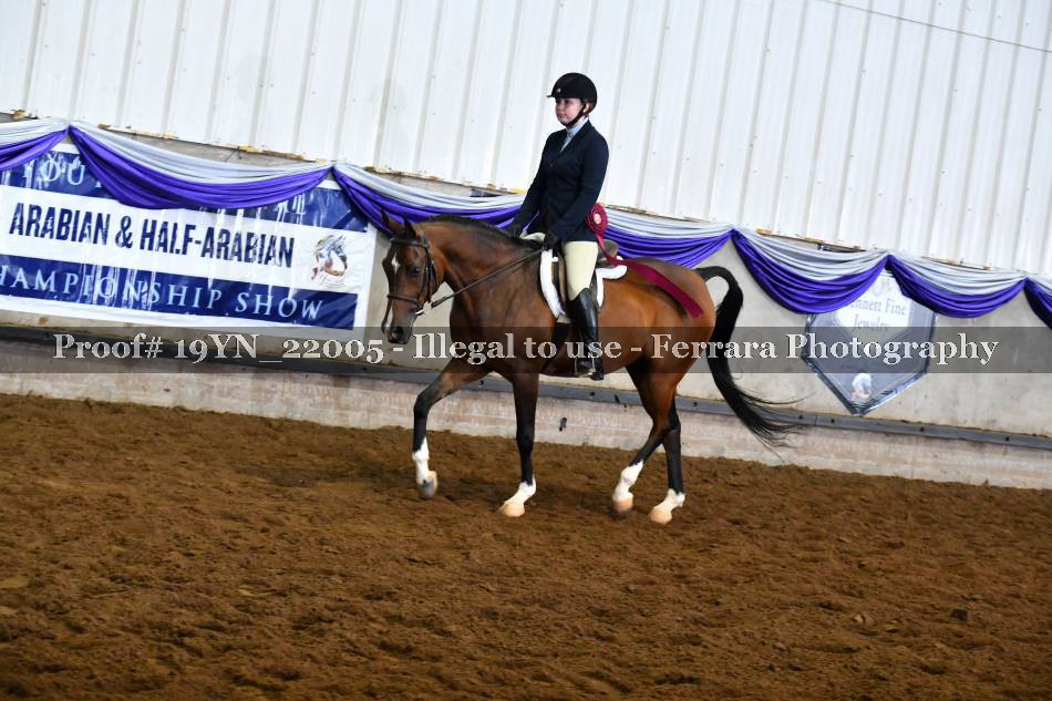 Proof 19YN_22005