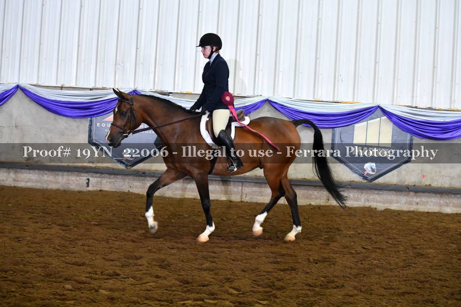 Proof 19YN_22006