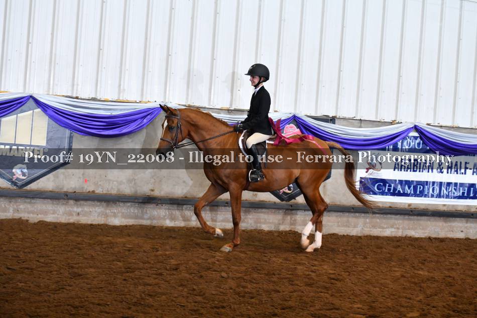 Proof 19YN_22008