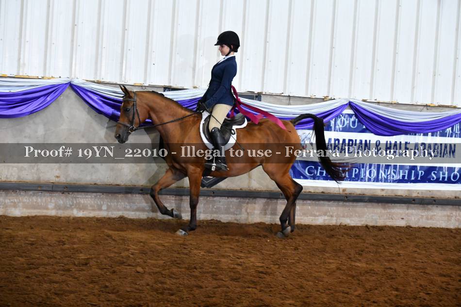 Proof 19YN_22010