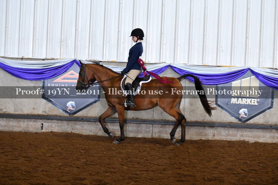 Proof 19YN_22011