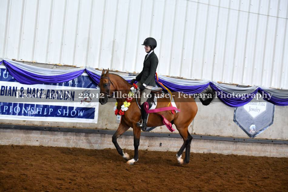 Proof 19YN_22012