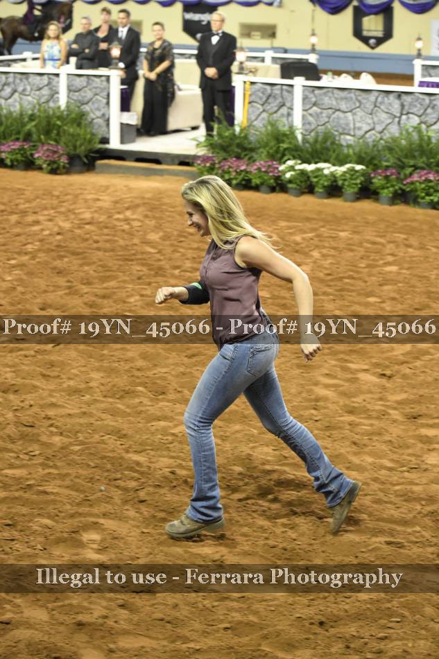 Proof 19YN_45066