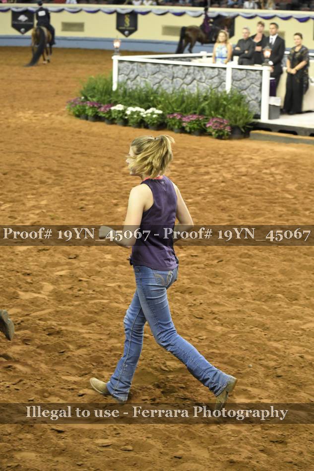 Proof 19YN_45067