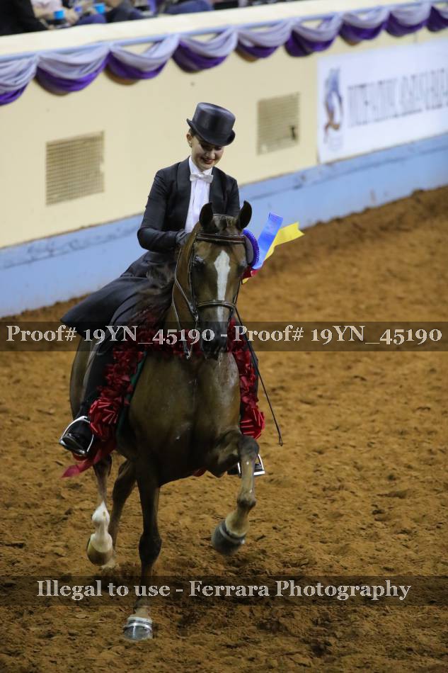 Proof 19YN_45190