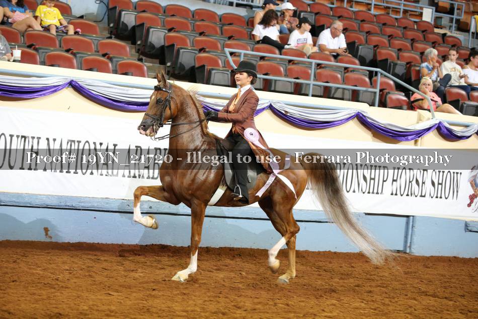 Proof 19YN_21720