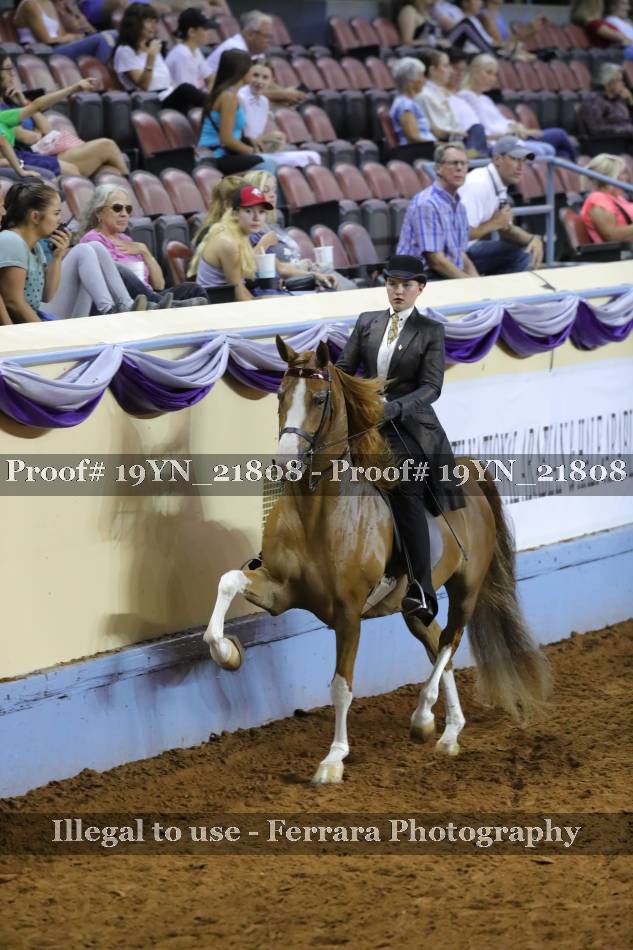 Proof 19YN_21808