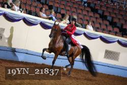 19YN_21837 proof