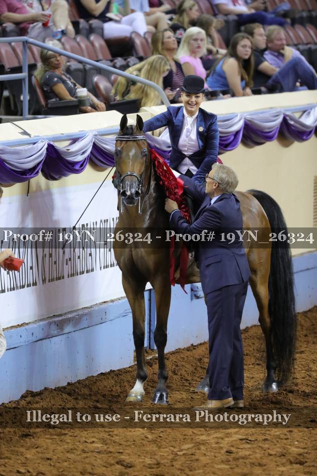 Proof 19YN_26324