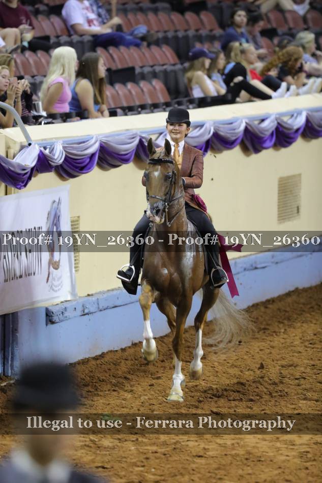 Proof 19YN_26360