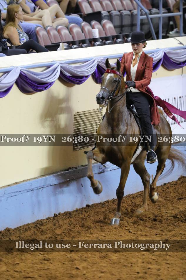 Proof 19YN_26380