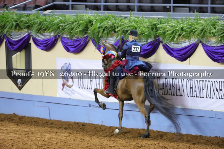 Proof 19YN_26400