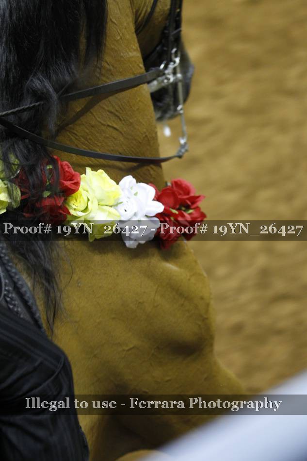 Proof 19YN_26427