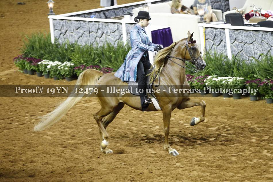 Proof 19YN_12479
