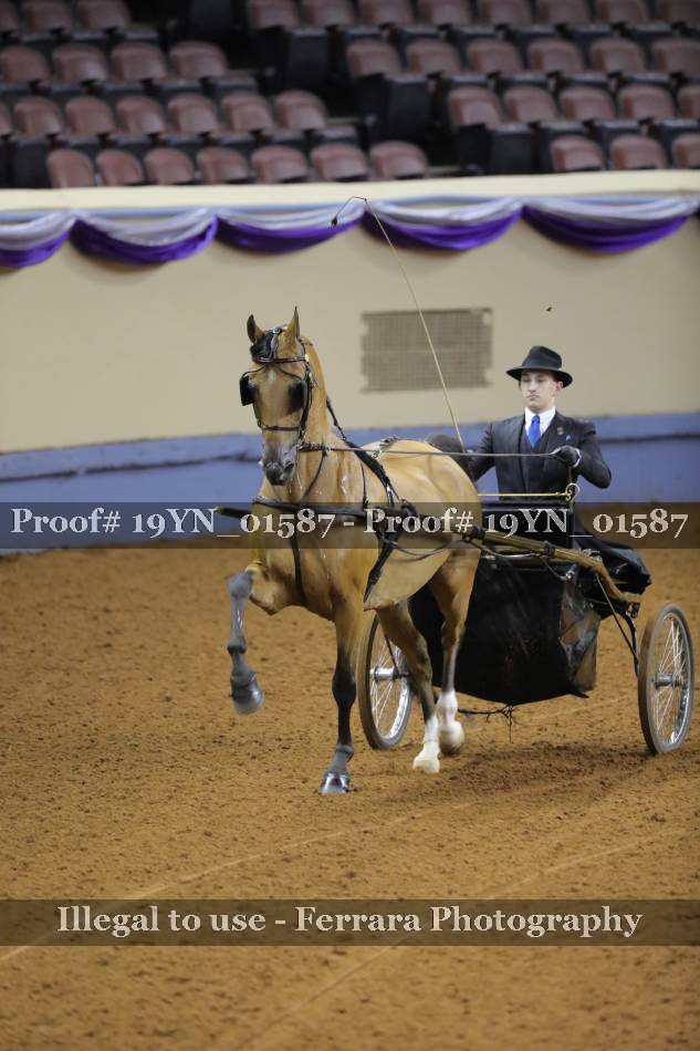 Proof 19YN_01587