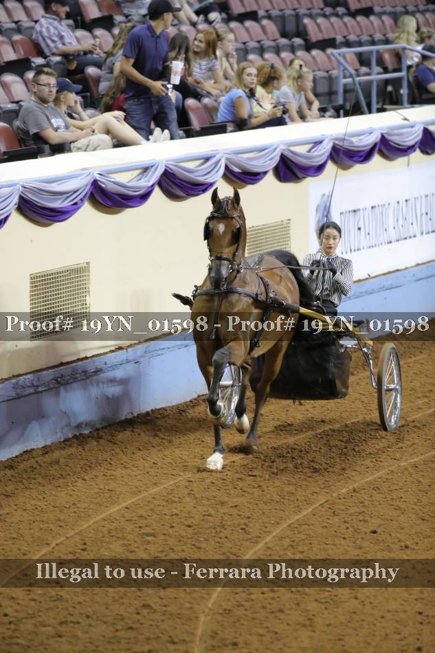 Proof 19YN_01598