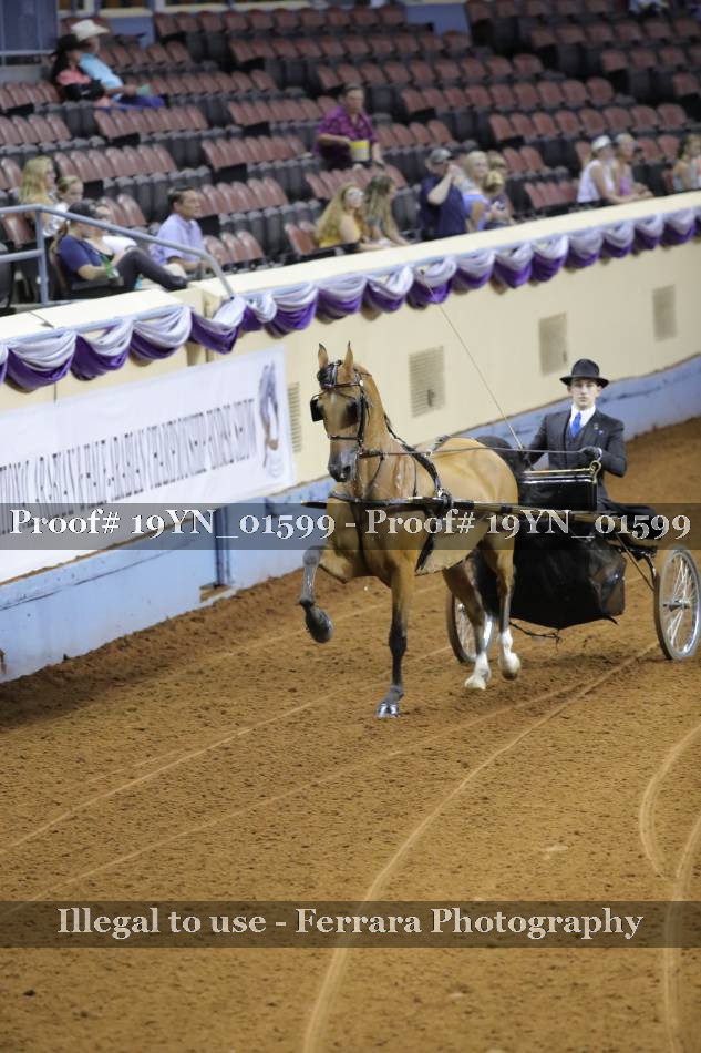 Proof 19YN_01599