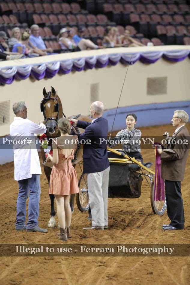 Proof 19YN_01602