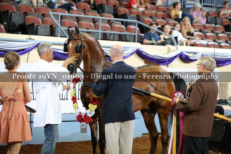 Proof 19YN_01603