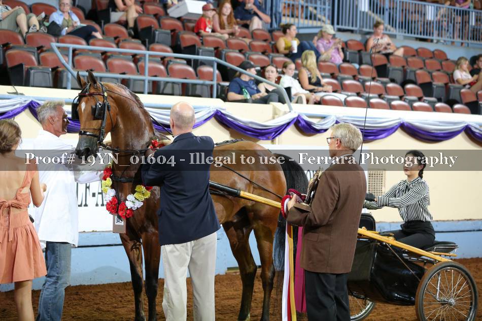 Proof 19YN_01604