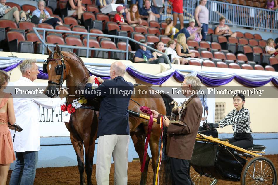 Proof 19YN_01605