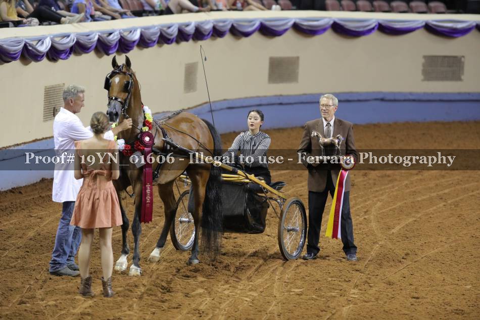 Proof 19YN_01606