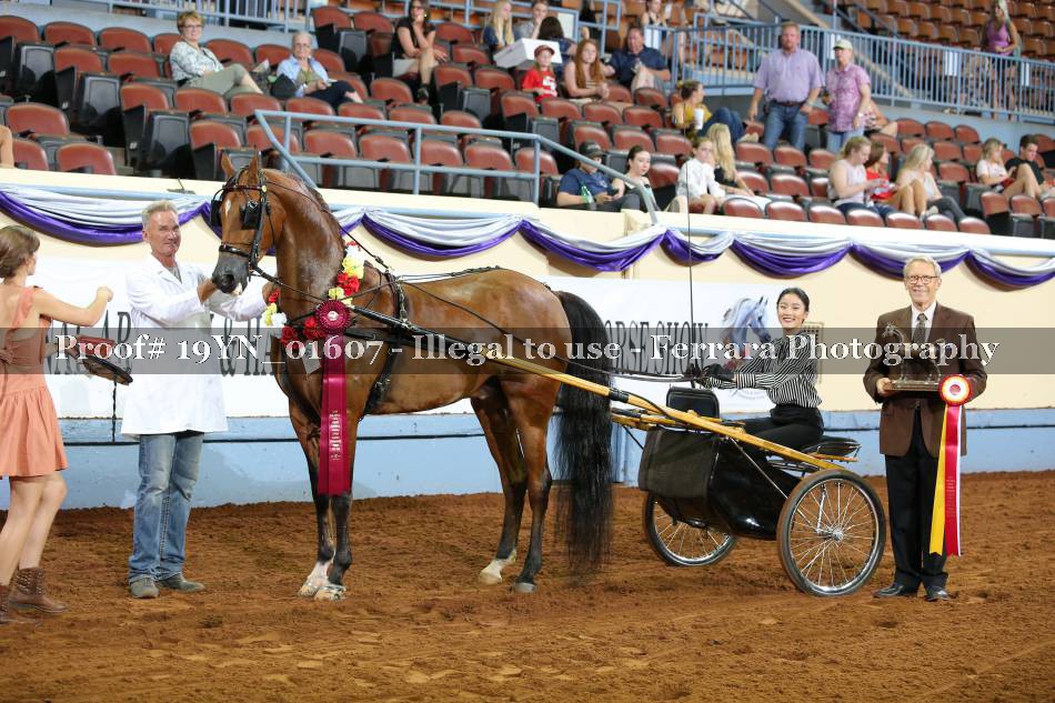 Proof 19YN_01607