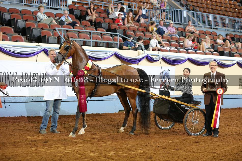 Proof 19YN_01608