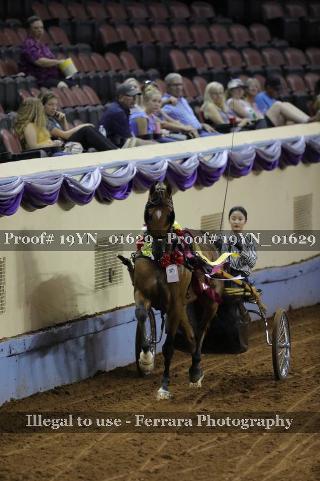 Proof 19YN_01629