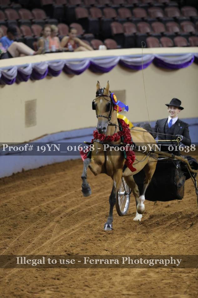 Proof 19YN_01638