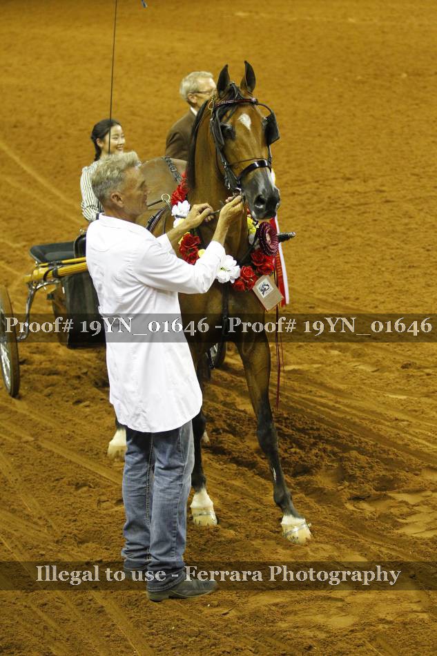 Proof 19YN_01646