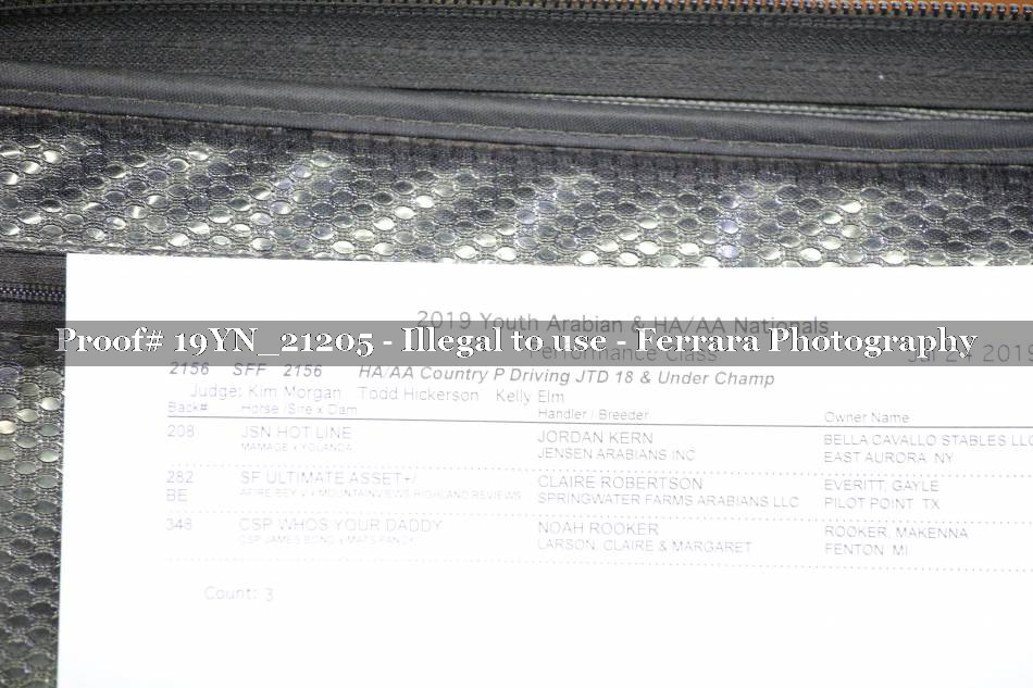 Proof 19YN_21205