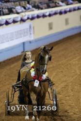 19YN_21260 proof