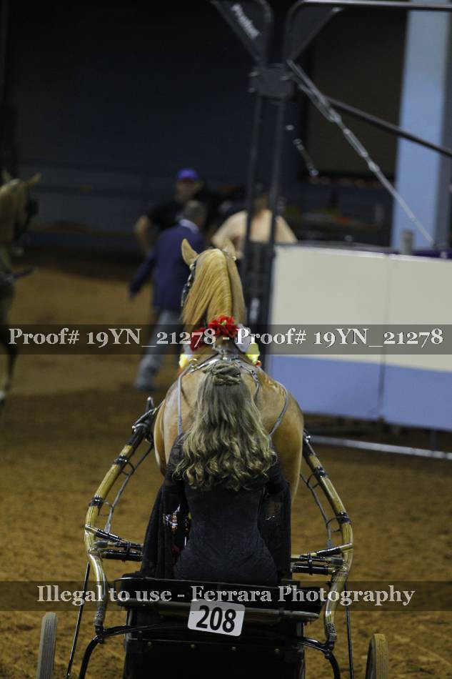 Proof 19YN_21278
