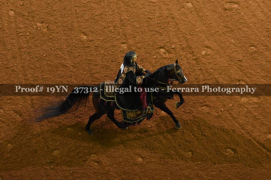 Proof 19YN_37312