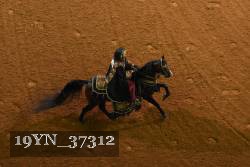 19YN_37312 proof