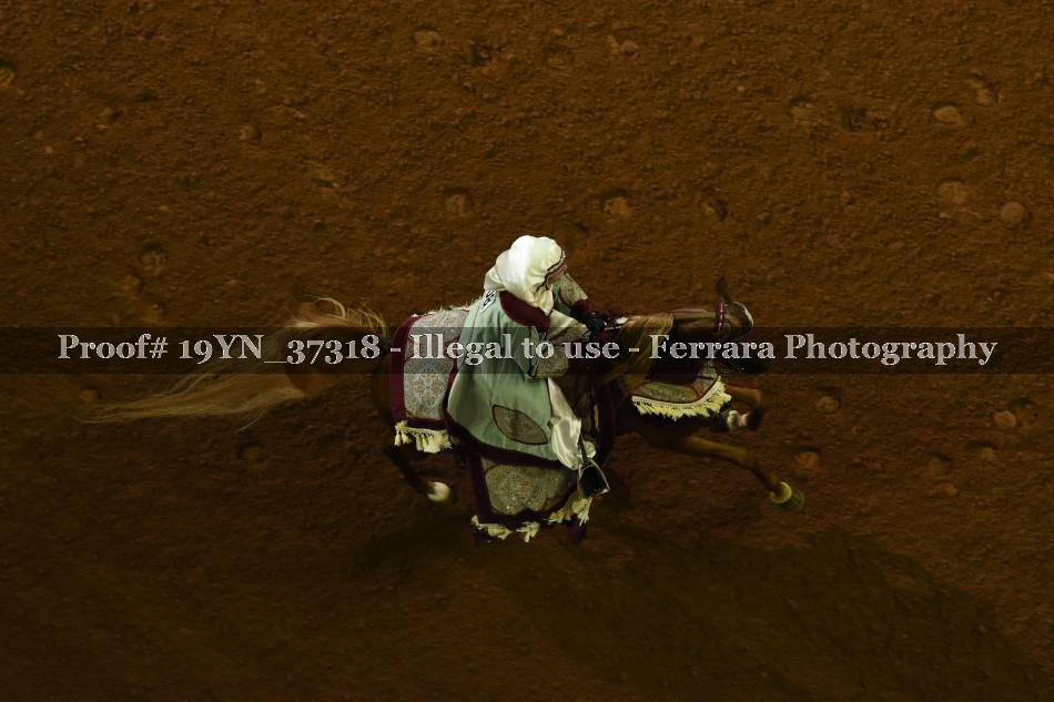 Proof 19YN_37318